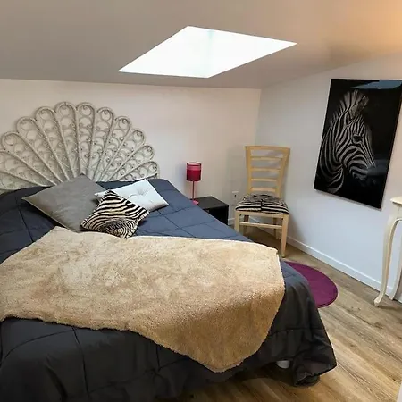 Apartamento Chez Bardot Le Puy-en-Velay